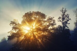 太陽光PPAの無料シミュレーションでどれだけのコスト削減が可能か？