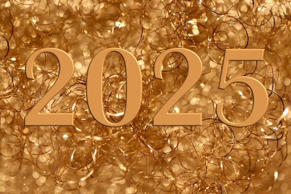 PPAソーラーの補助金2025年に申請するための条件は？
