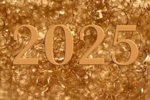 PPAソーラーの補助金2025年に申請するための条件は？