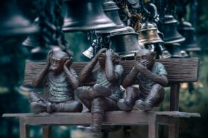 PPAソーラーを個人で利用する際の比較ポイントは？